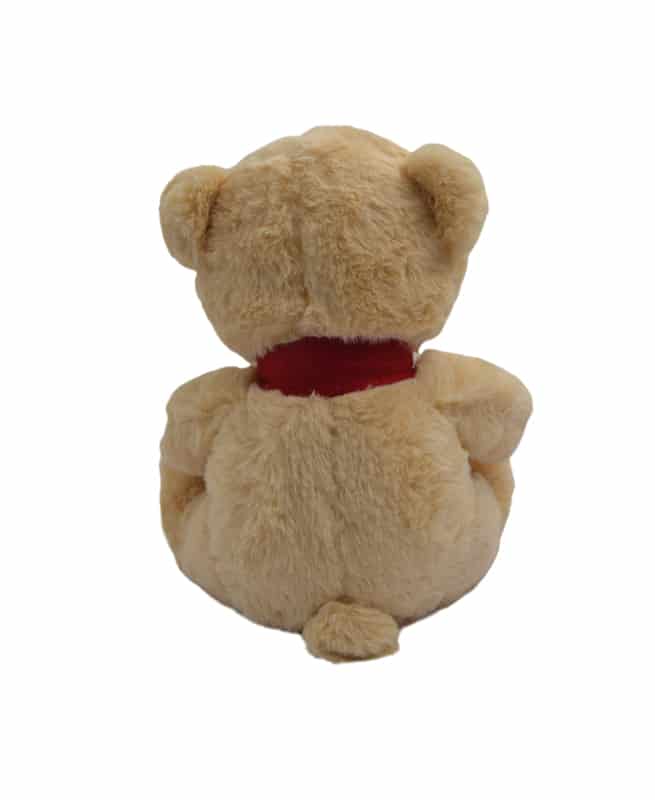 Teddy Bear (Lexus)